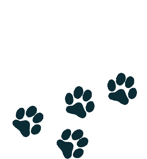 cat footprint hires22 122 1