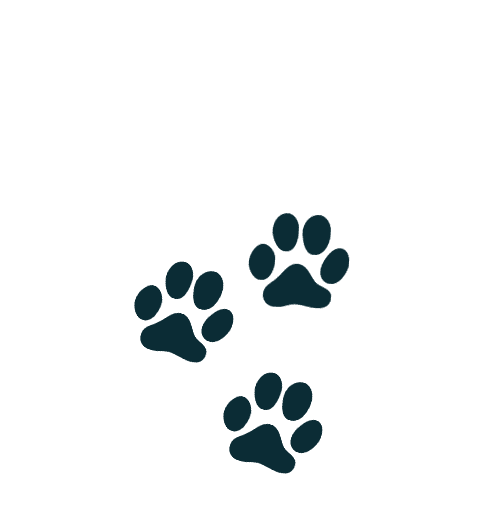 cat footprint hires22ASASA 1 1