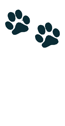 cat footprint hires22ASASA55 1