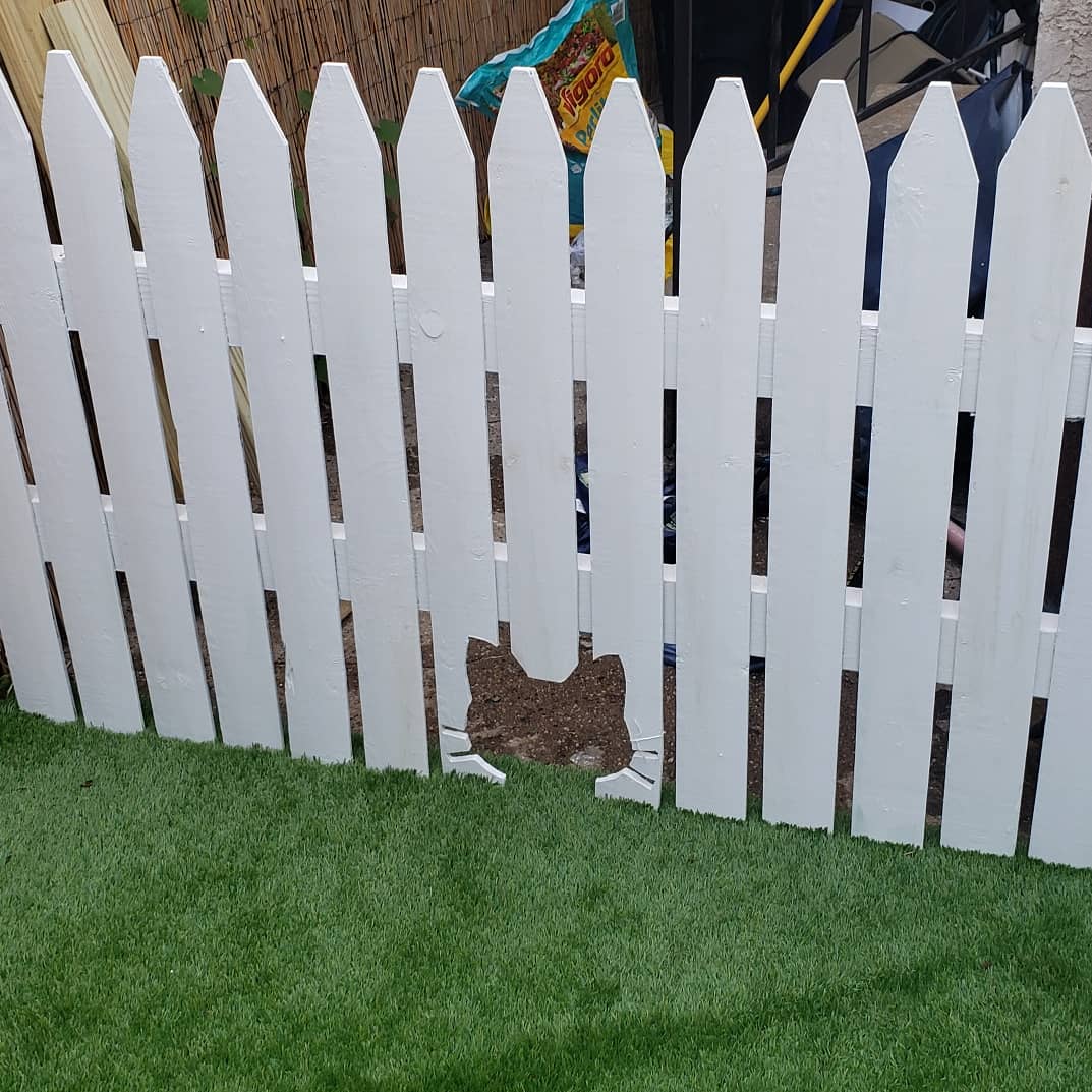 How to make a picket fence, with a cat face cat entrance