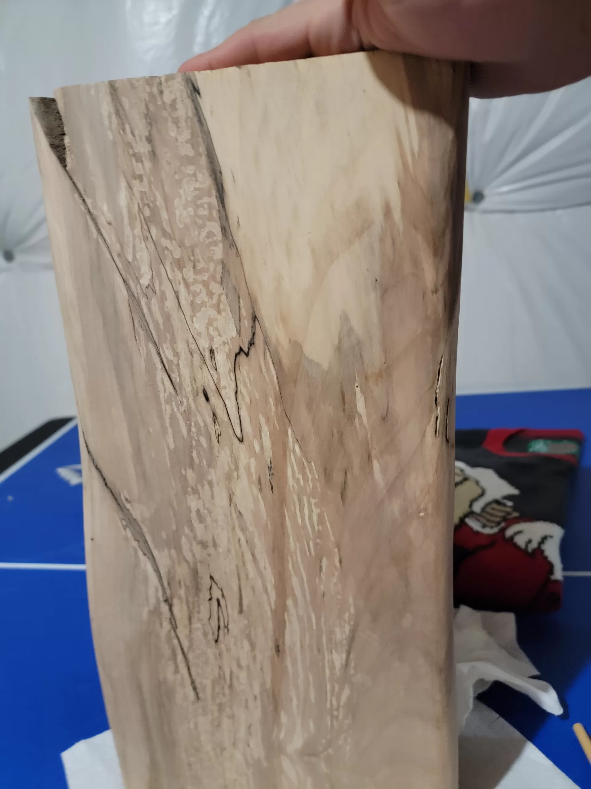 Spalted Maple - Sanded