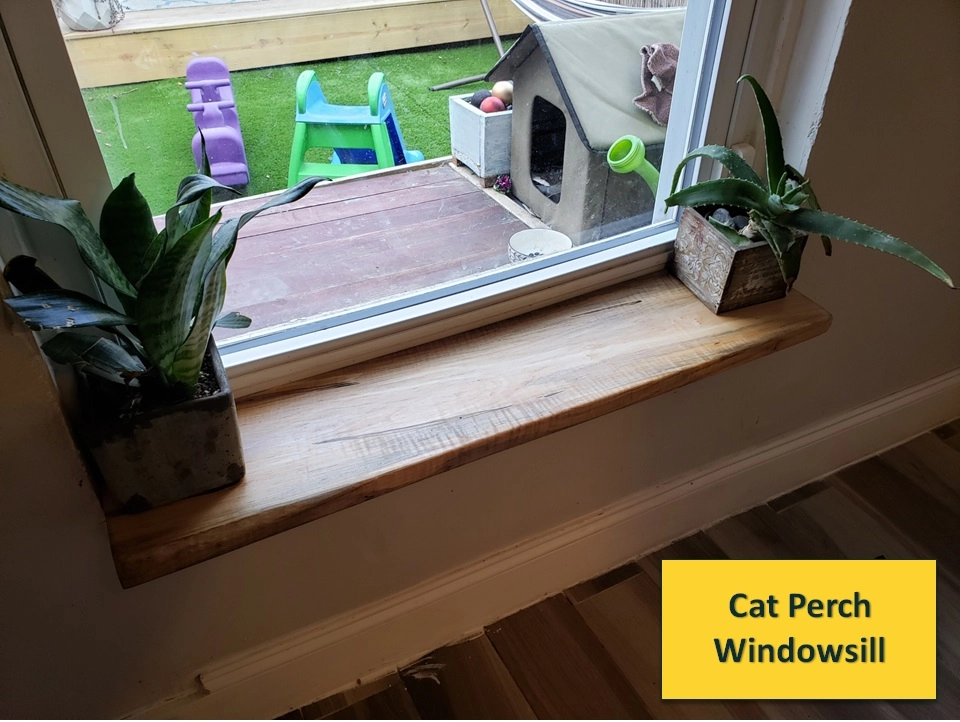 Cat Perch Windowsill
